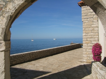 Ariella Ap4: